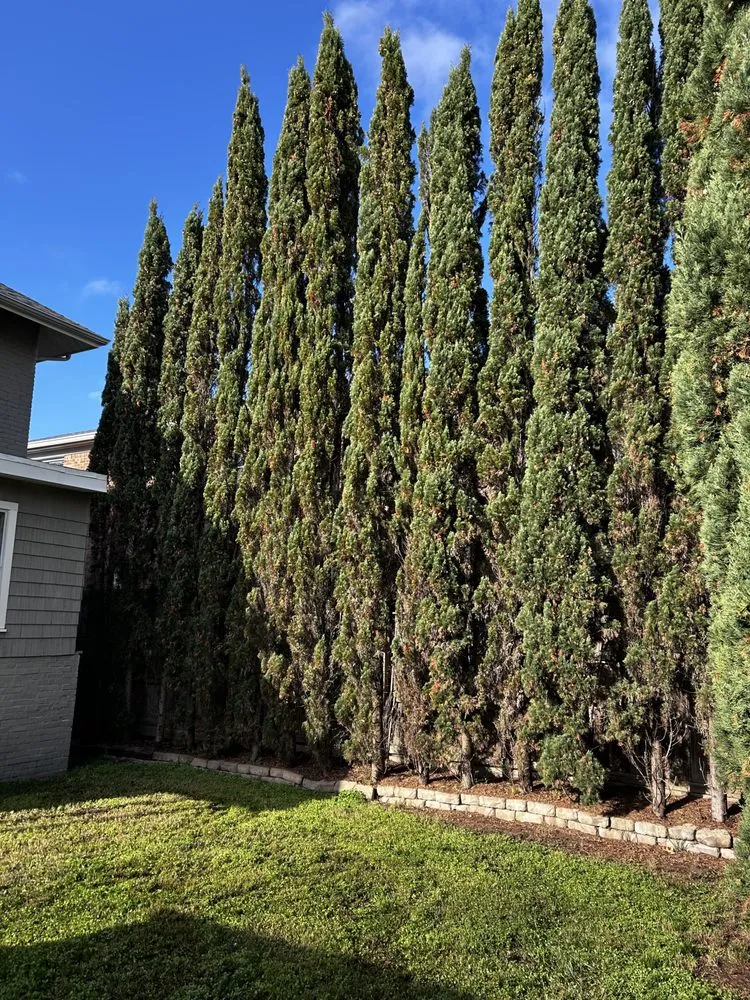 Expert landscape installation experts serving Suffolk, VA - Boone Wayne Enterprises