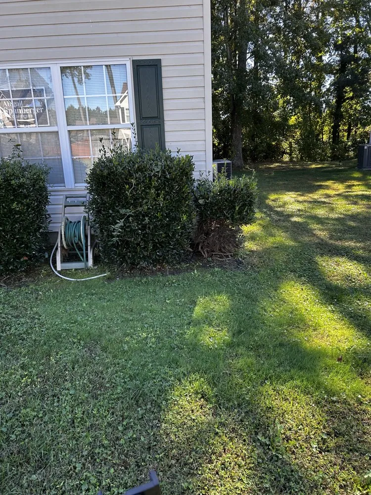 Trusted yard cleanup service experts serving Suffolk, VA - Boone Wayne Enterprises