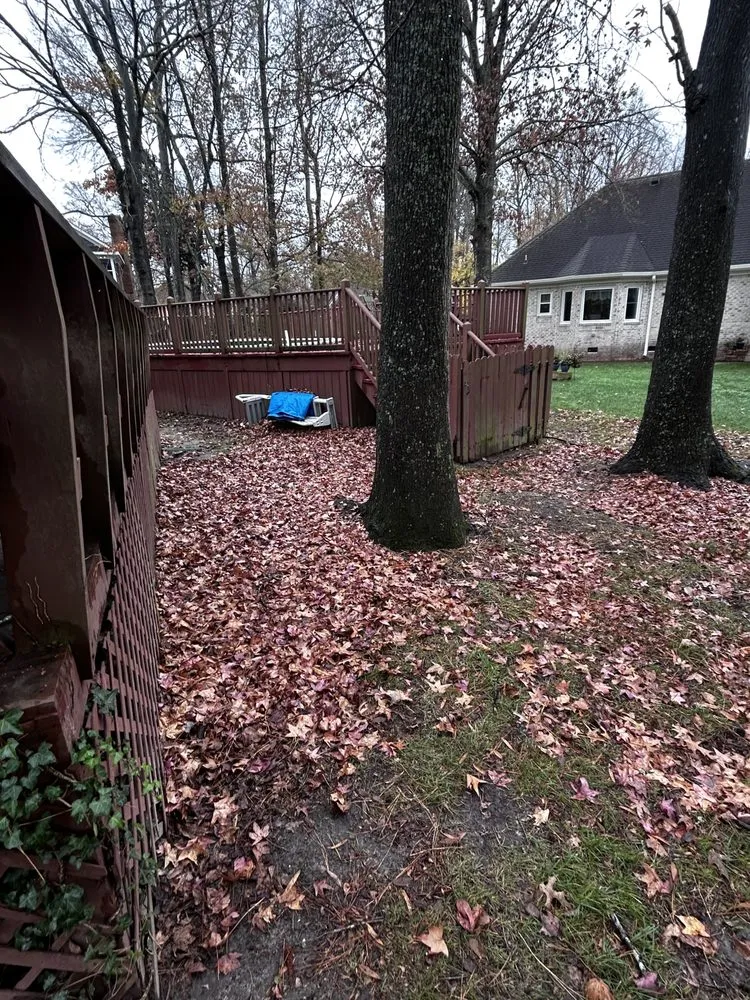 Custom yard maintenance in Suffolk, VA - Boone Wayne Enterprises