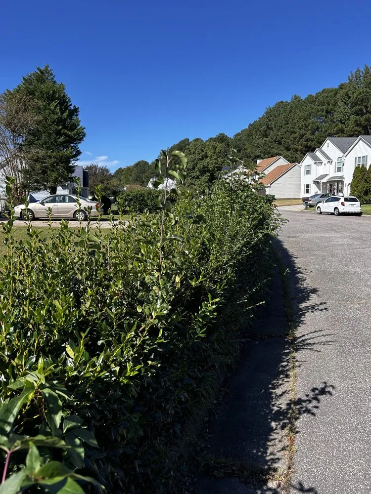 Expert lawn care service in Suffolk, VA - Boone Wayne Enterprises