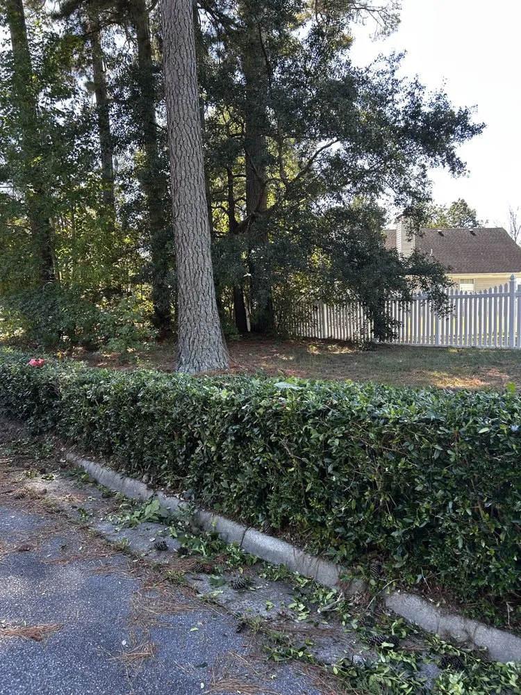 Reliable yard maintenance in Suffolk, VA by Boone Wayne Enterprises