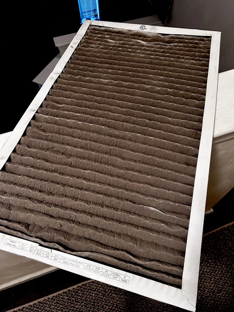 Top-rated lawn care service in Suffolk, VA by Boone Wayne Enterprises