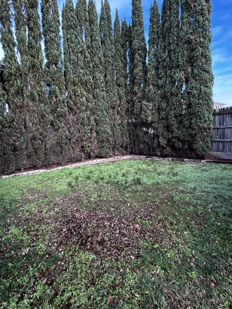 Top-rated landscaping services for residential properties across Suffolk, VA - Boone Wayne Enterprises