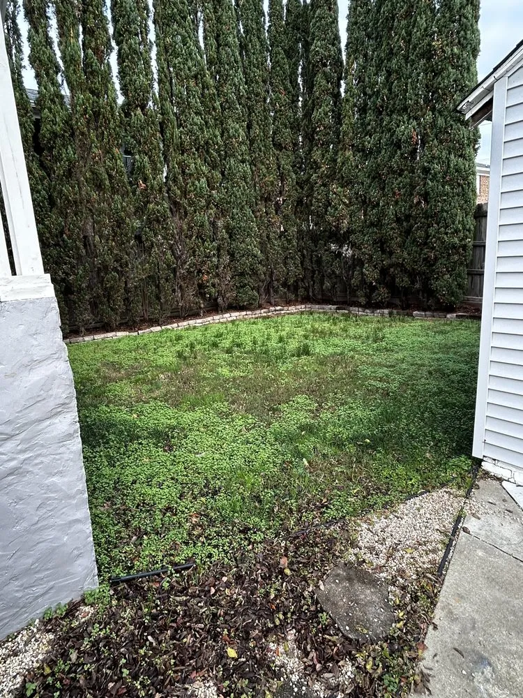 Professional residential landscaping in Suffolk, VA - Boone Wayne Enterprises