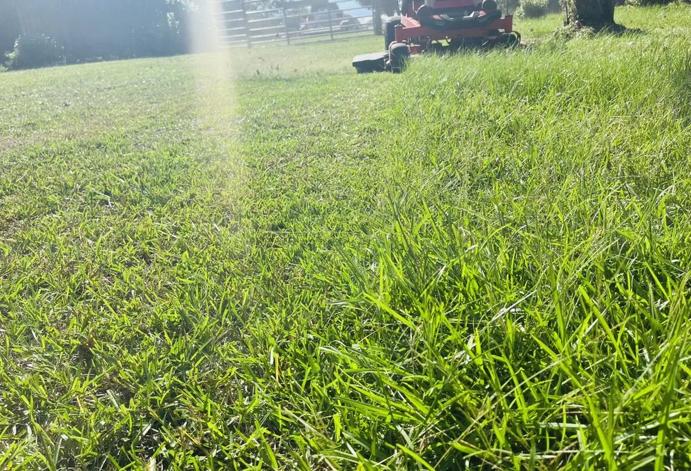 Professional lawn mowing service experts serving Kiln, MS - Boone’s Lawn & Landscaping