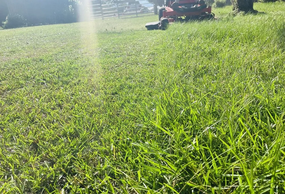 Expert outdoor landscaping experts serving Kiln, MS - Boone’s Lawn & Landscaping