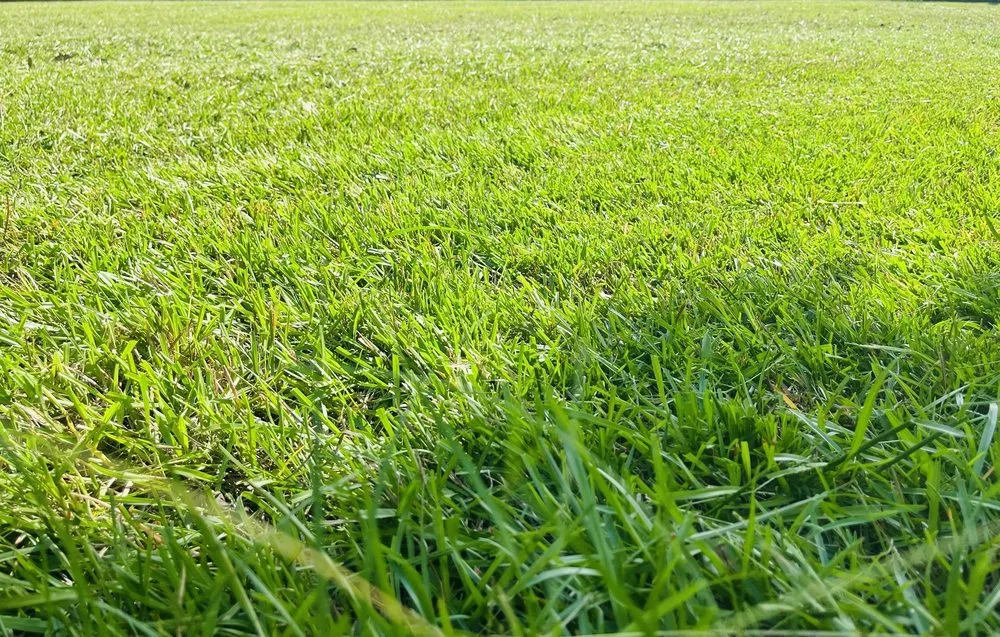 Custom lawn mowing service with custom design in Kiln, MS by Boone’s Lawn & Landscaping