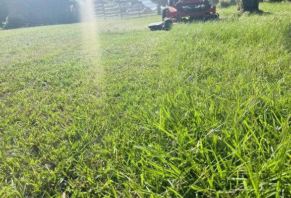 Boone’s Lawn & Landscaping