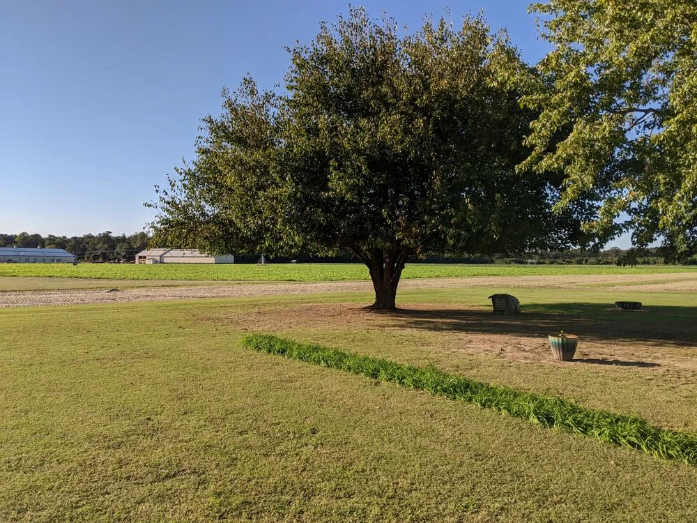 Reliable yard maintenance in Seaford, DE - Boone's Property Maintenance