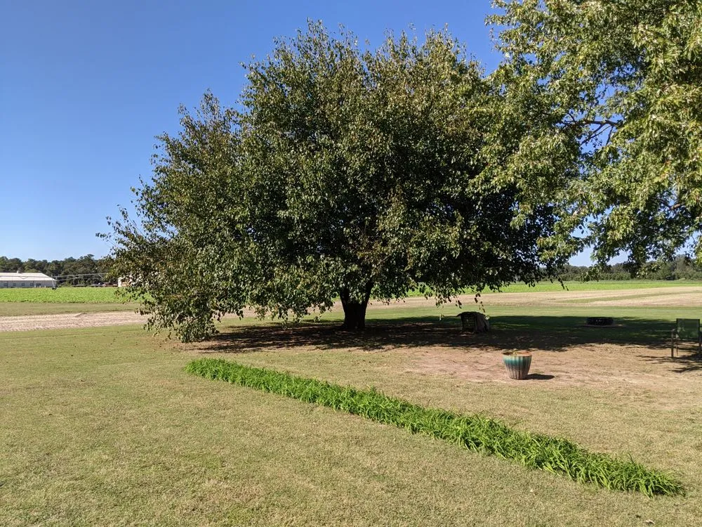 Custom garden landscaping with custom design across Seaford, DE - Boone's Property Maintenance