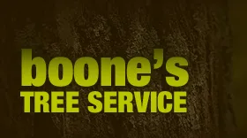 Expert landscaping services in Dayton, OH - Boone's Tree Service
