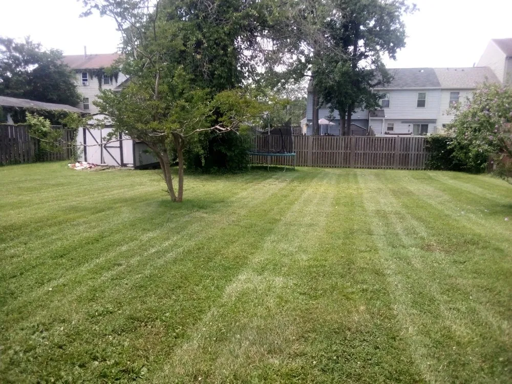 Professional yard maintenance in Indian Head, MD by Boons Landscaping