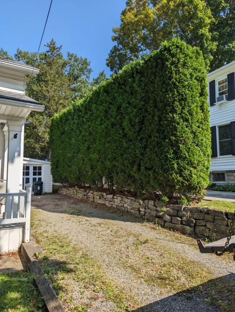 Expert garden landscaping in Moravia, NY - BooRadleys Garden