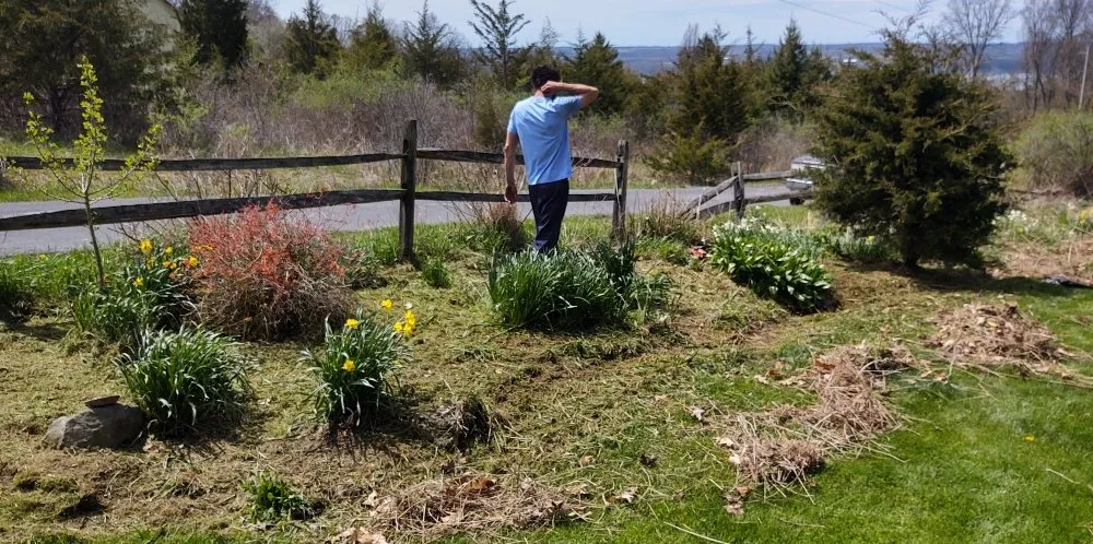 Trusted residential landscaping for outdoor upgrades across Moravia, NY - BooRadleys Garden