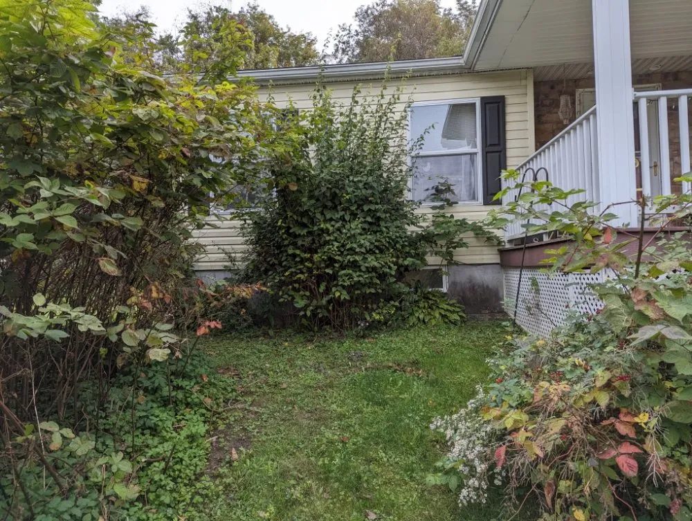 Local yard cleanup service in Moravia, NY by BooRadleys Garden