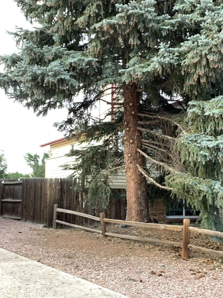 Affordable lawn care service with custom design in Larkspur, CO by Boos and Sons