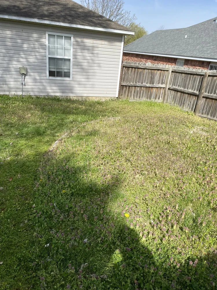 Affordable yard cleanup service in Fayetteville, AR by Boo’s Lawn Care