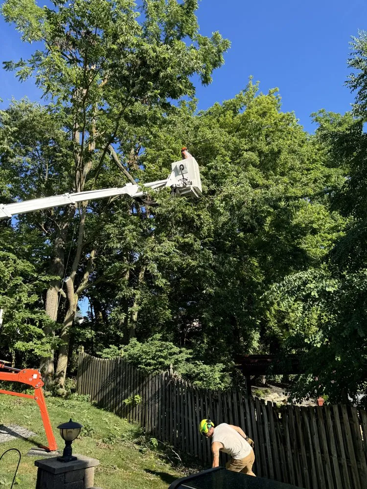 Top-rated lawn mowing service in Easton, PA - Boo's Tree & Lawn Service