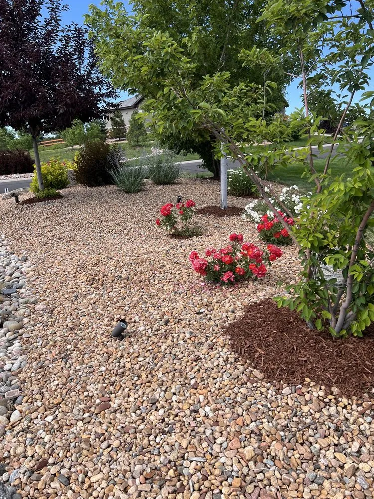 Reliable lawn care service in Castle Rock, CO by Boost Landscape