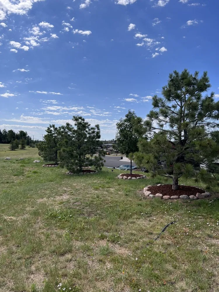 Custom yard maintenance in Castle Rock, CO - Boost Landscape