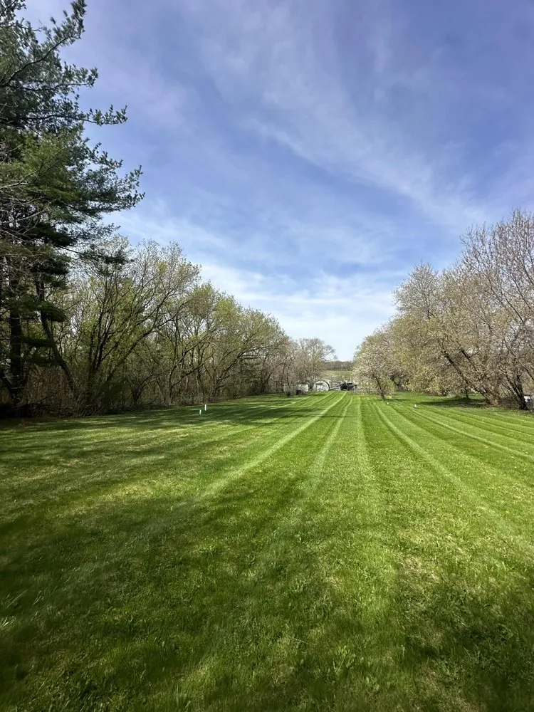 Affordable yard cleanup service in Madison, WI by Boosted Kings