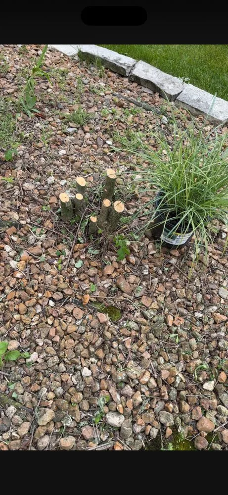 Trusted landscape installation near you across Highland, IN - Boosted Landscaping