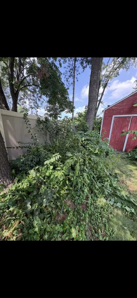 Affordable landscape design experts serving Highland, IN - Boosted Landscaping