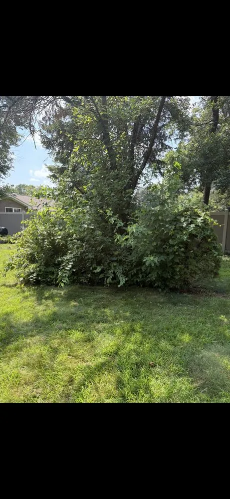 Reliable yard cleanup service in Highland, IN by Boosted Landscaping