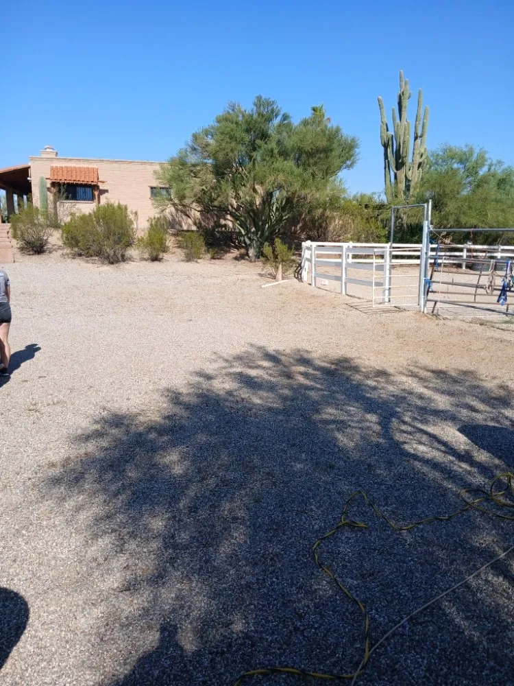 Top-rated yard maintenance with custom design across Tucson, AZ - Boots and Truck