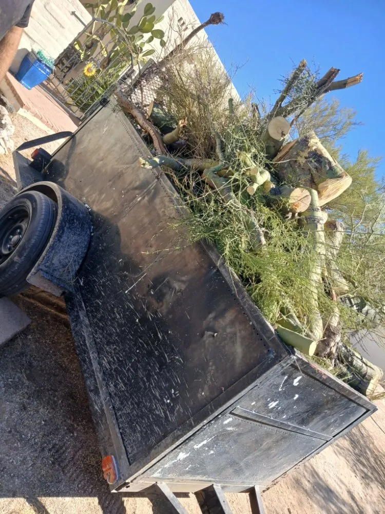 Professional lawn care service in Tucson, AZ by Boots and Truck