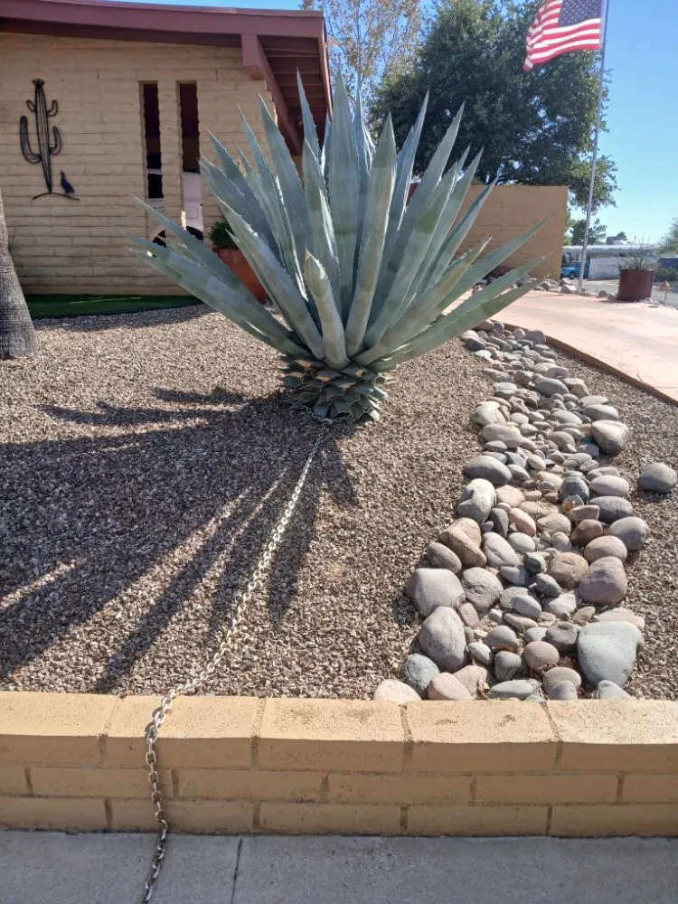 Local landscaping services for outdoor upgrades in Tucson, AZ by Boots and Truck