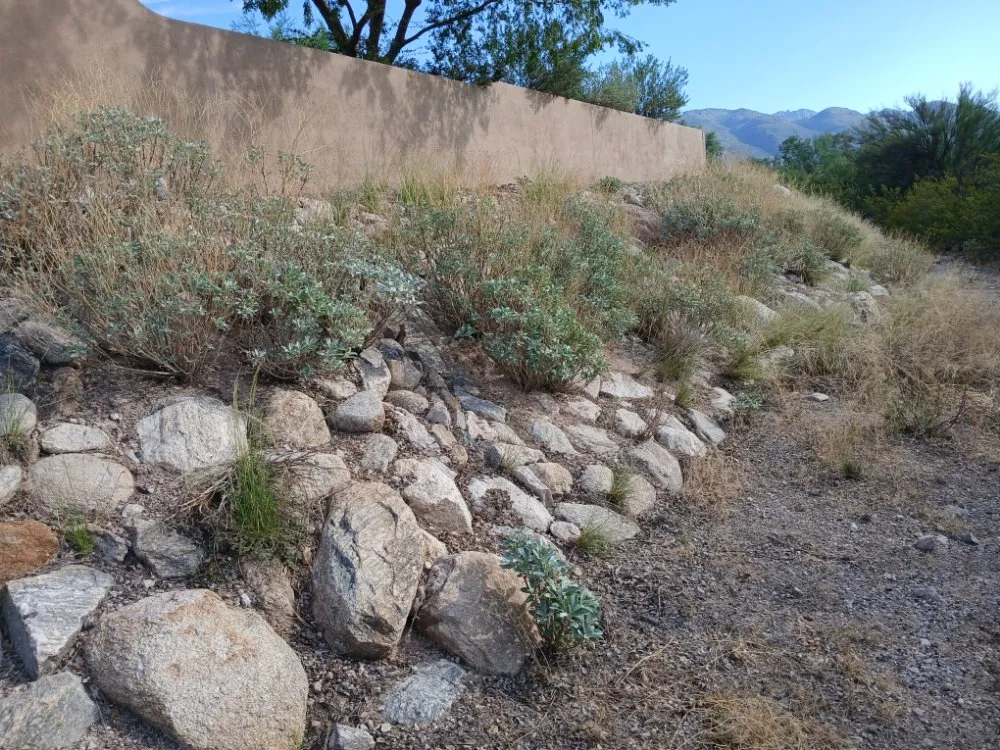 Trusted outdoor landscaping experts serving Tucson, AZ - Boots and Truck