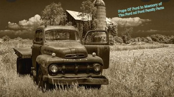 Affordable landscaping services in Ripley, MS by Boots Helping Hand and Services