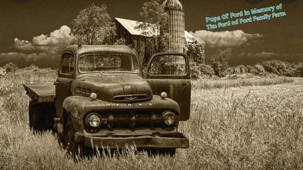 Boots Helping Hand and Services