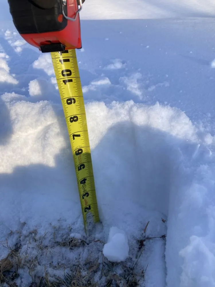 Expert landscape installation experts serving Clinton, IN - Boots N Roots