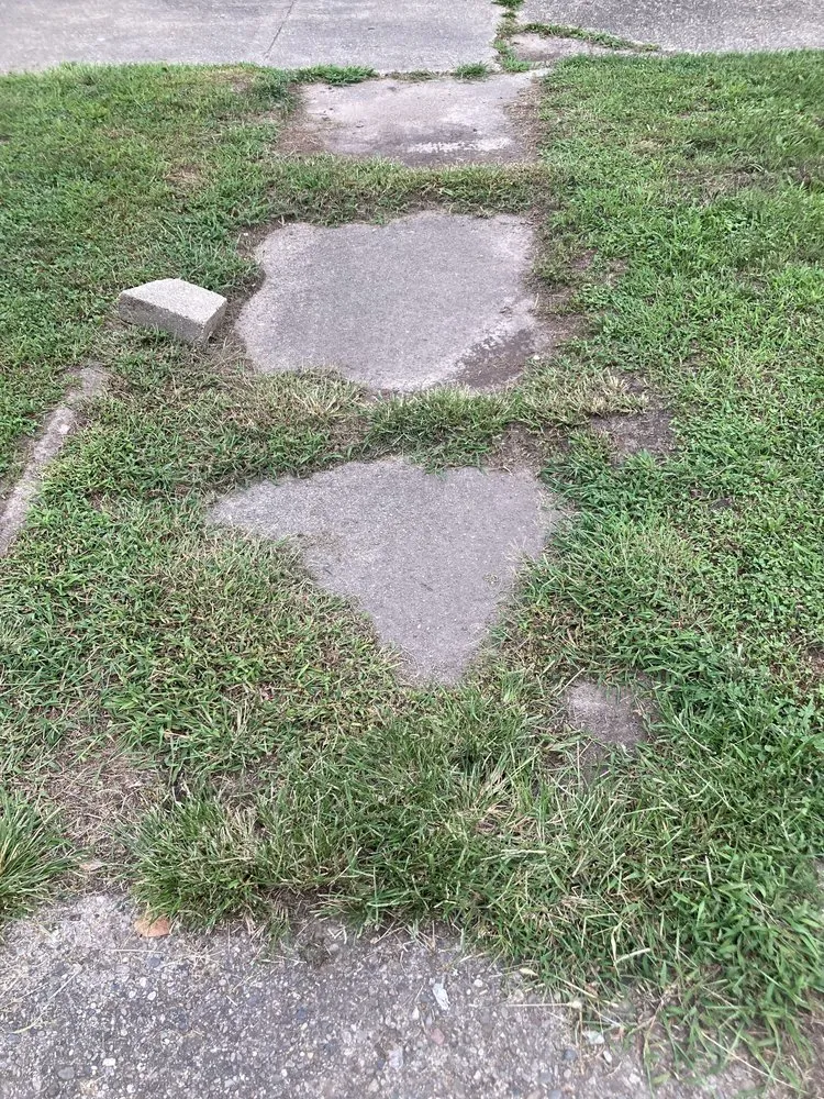 Top-rated lawn care service experts serving Clinton, IN - Boots N Roots