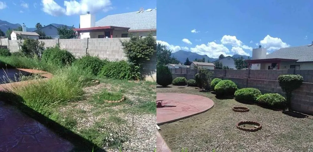 Trusted residential landscaping in Bisbee, AZ by Border Grounds Keeping
