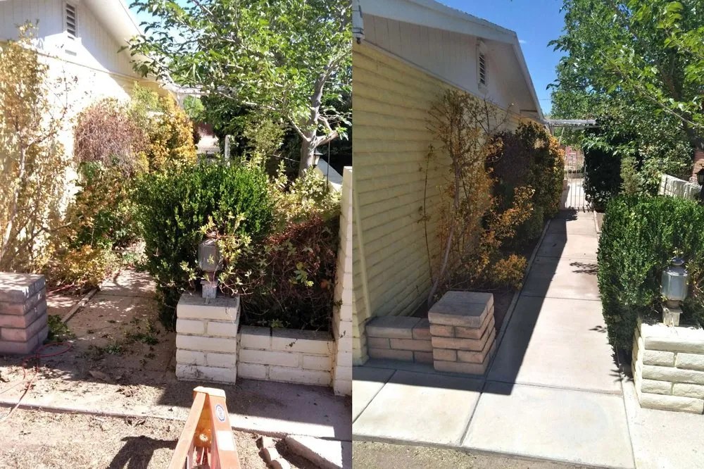 Expert landscape installation in Bisbee, AZ by Border Grounds Keeping