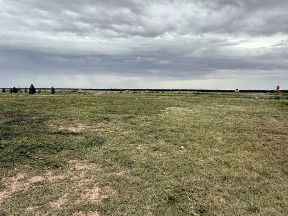 Top-rated residential landscaping in Roswell, NM - Border Hill Services