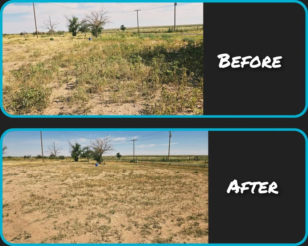 Affordable landscaping services for residential properties in Roswell, NM by Border Hill Services