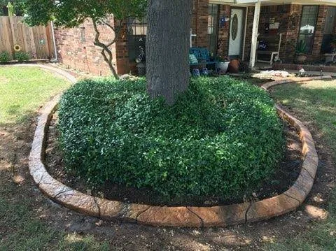 Reliable landscape design experts serving Fort Myers, FL - Border Magic