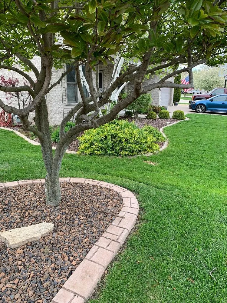 Professional lawn mowing service for beautiful yards across Frankfort, IL - Border Magic