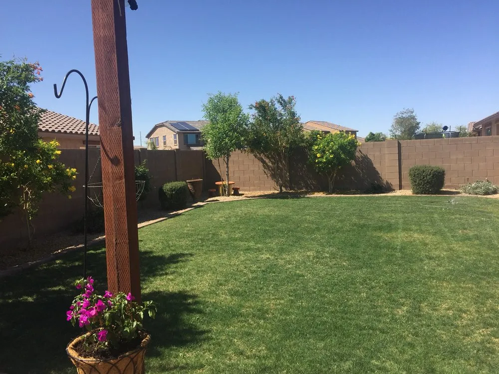 Local landscaping services in Peoria, AZ by Borders & Beyond Landscaping