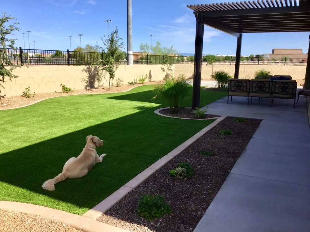 Local residential landscaping for beautiful yards across Peoria, AZ - Borders & Beyond Landscaping