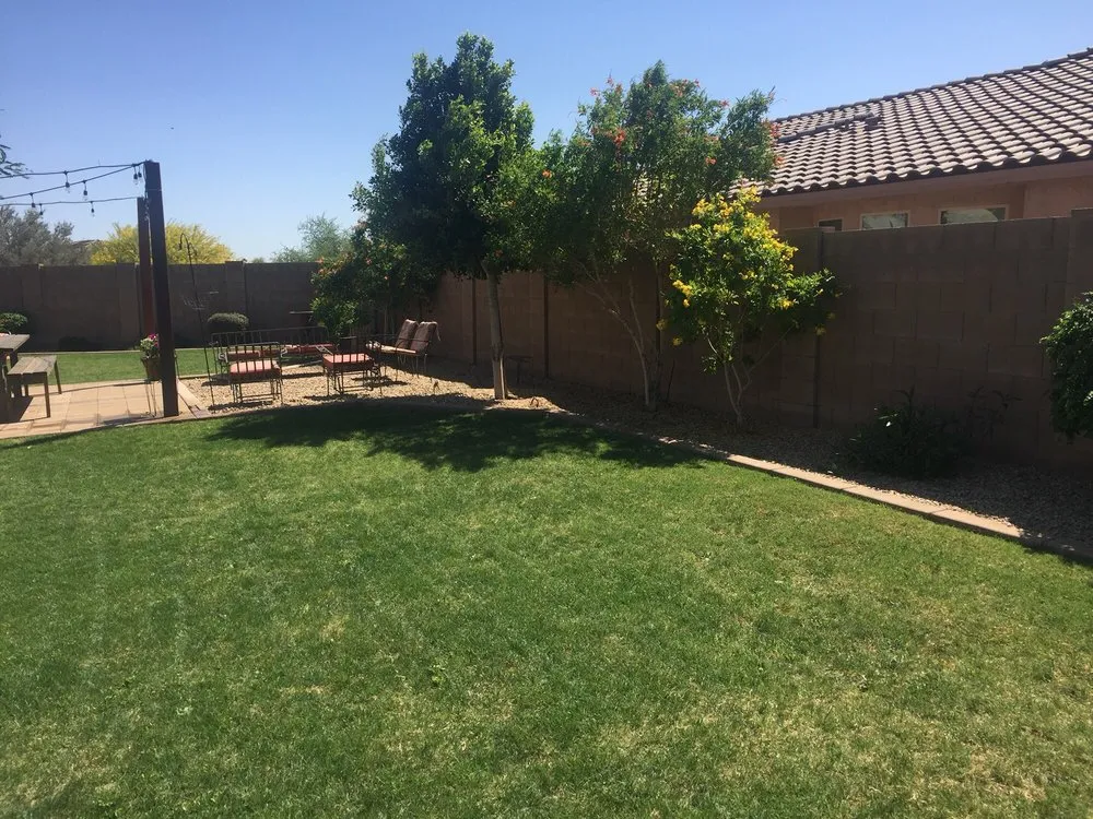 Top-rated landscape installation in Peoria, AZ - Borders & Beyond Landscaping