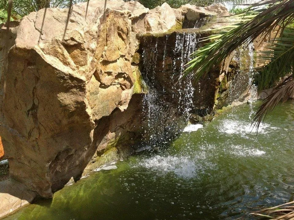 Expert outdoor landscaping for outdoor upgrades across Peoria, AZ - Borders & Beyond Landscaping