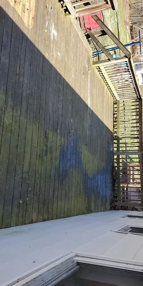 Reliable yard maintenance in Mansfield, OH - Borders Surface Cleaning