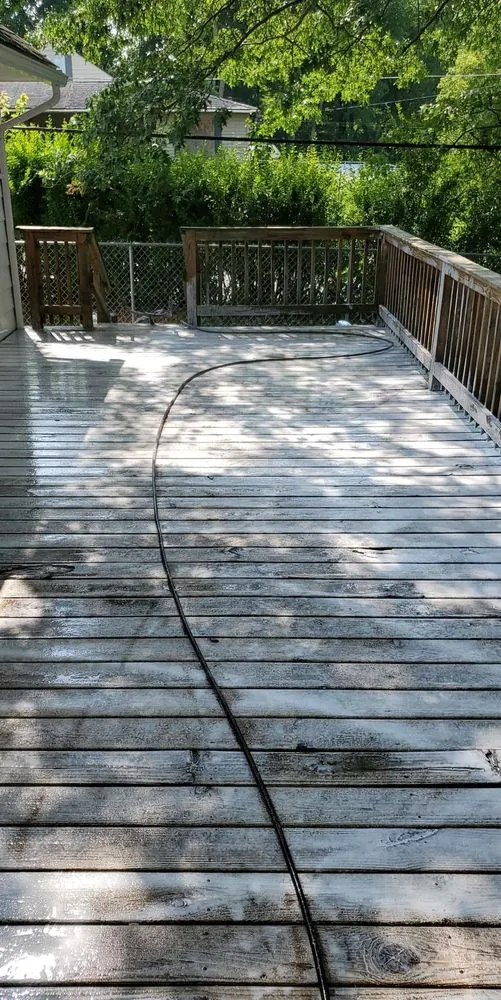 Expert yard maintenance in Mansfield, OH by Borders Surface Cleaning