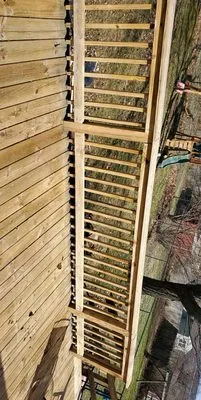 Borders Surface Cleaning Logo