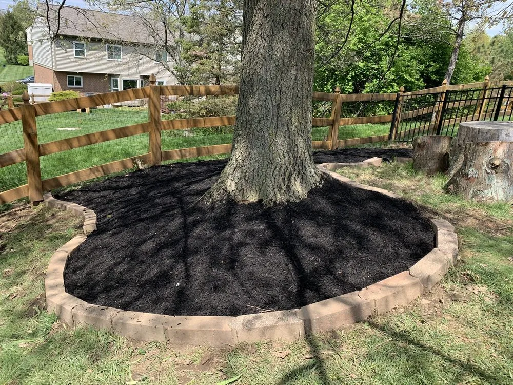 Expert garden landscaping in Florence, KY by BorderTech lawncare